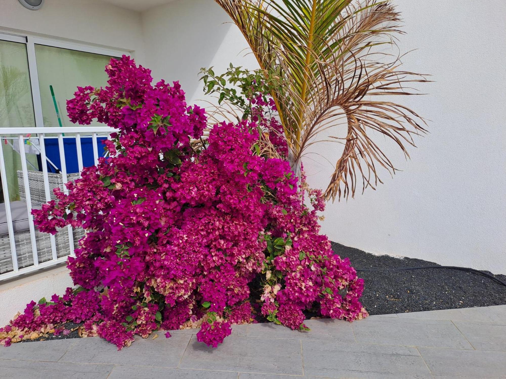 Luxury Sea View Senator Lanzarote Apartment Costa Teguise Exterior photo